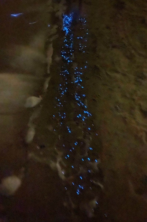 6.24平潭蓝眼泪